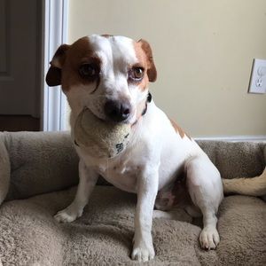 Meet your Posher, Allie